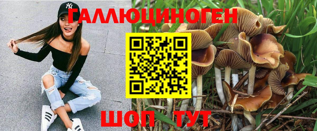 Псилоцибиновые грибы Psilocybe  хочу наркоту  Новочебоксарск  Вход с VPN 