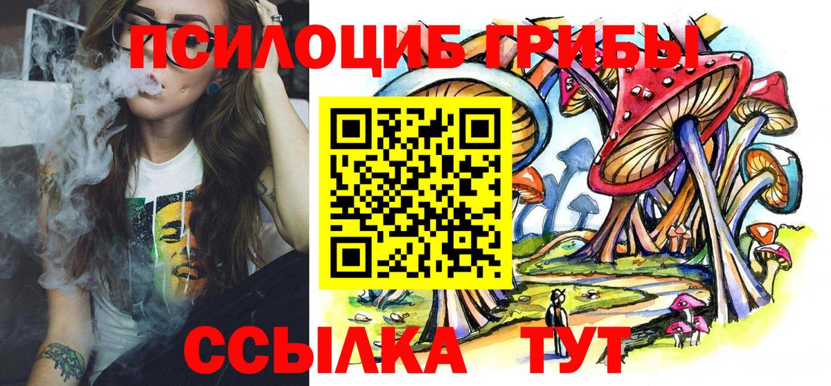 Псилоцибиновые грибы MAGIC MUSHROOMS Новочебоксарск